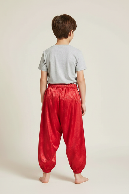 Pantalon Fluide Rouge Satiné Ample Dragon Garçon - vue 2